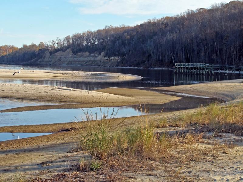 Shoreline at Flag Ponds Nature Park