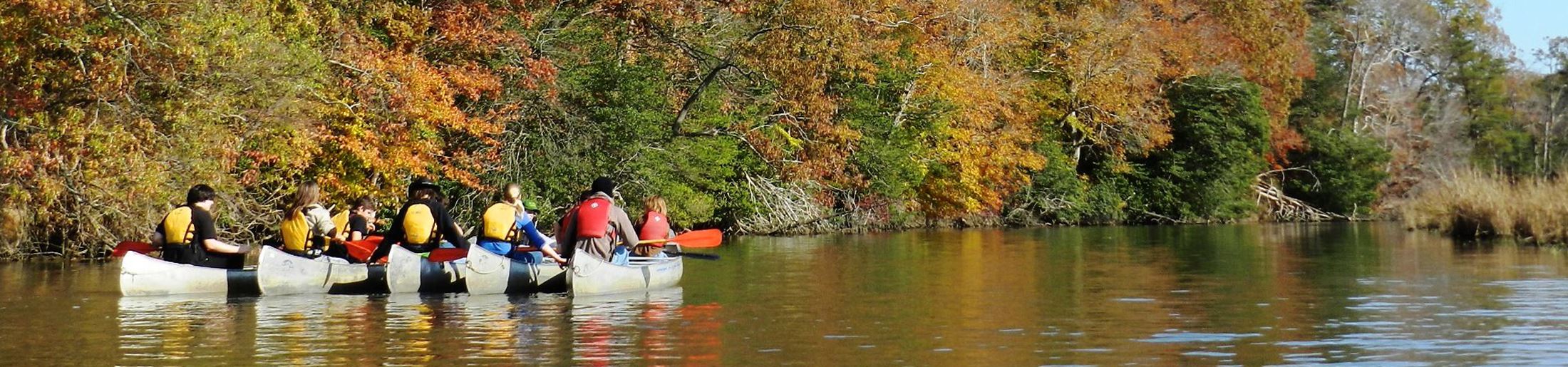 Group of people canoeing through fall foliage