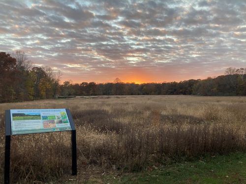 Meadow at Gatewood Preserve