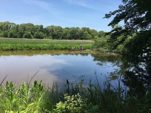 Couple canoeing on creek